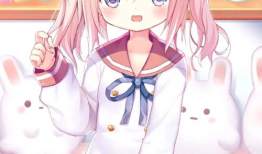 萝莉动漫,梦幻童颜下的青春魅力